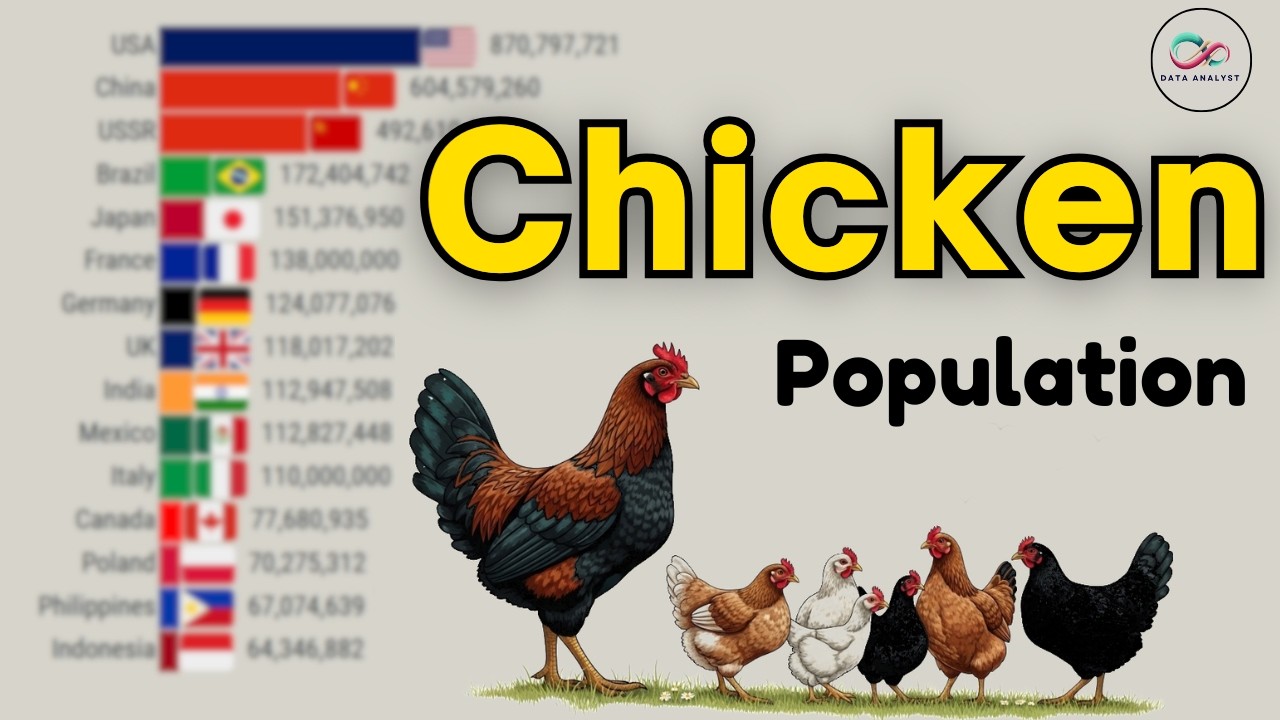 Крупнейшие в мире страны-производители куриного мяса (1961–2025 гг.)