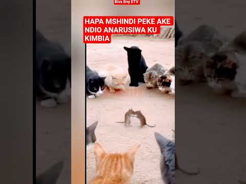 HAPA MSHINDI PEKE AKE NDIO ANARUSIWA KU KIMBIA