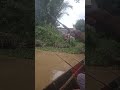 Cinta hanya sekali #viral #videoviral #hiburan #fishing #laguviral #dangdutviral
