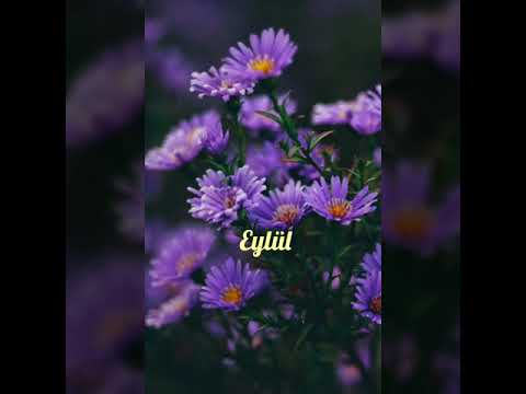 Eylül - Piyano