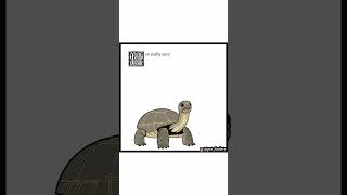 Pet Foolery: Tortoise (Comic Dub)
Pet Foolery: Tortoise (Comic Dub)
Voices Performed By:
KYOTO & Friends
From The Amazing Comic Artist: Ben Hed (Pet Foolery)
Who Created Lola And Mr. Wrinkles & Pixie And Brutus!
Follow Pet Foolerys Instagram:
https://www.instagram.com/pet_foolery
Support Pet Foolerys Patreon:
https://www.patreon.com/petfoolery
Music:
Teddy Bear Waltz Kevin MacLeod (incompetech.com)
Licensed under Creative Commons: By Attribution 3.0 License
https://creativecommons.org/licenses/by/3.0/us/ Pet Foolery: Tortoise (Comic Dub)