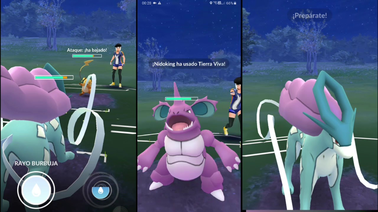 SUICUNE PARA LA COPA FEROZ - FEROCIOUS CUP