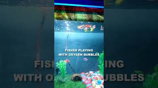 Fishes Playing With Oxygen Bubbles