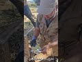 سحر المقابر للشيخ مخلوف أبوكنان الجزائري 