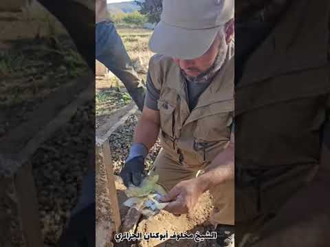 سحر المقابر للشيخ مخلوف أبوكنان الجزائري
