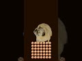 cookie