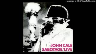 Watch John Cale Only Time Will Tell video