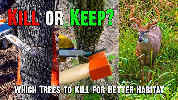 How to Kill Trees (the Right Way)
