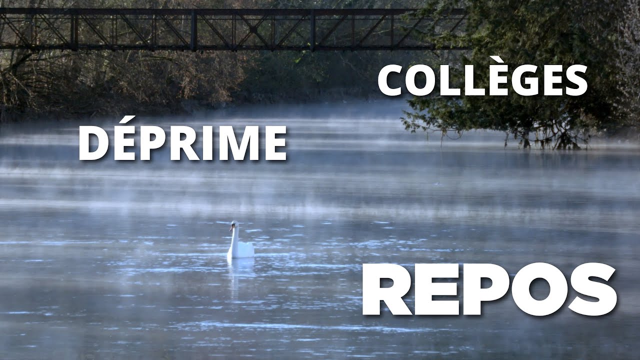 VLOG : Un Mois Normal Chez FoxTrotte Films (Décembre 2025)