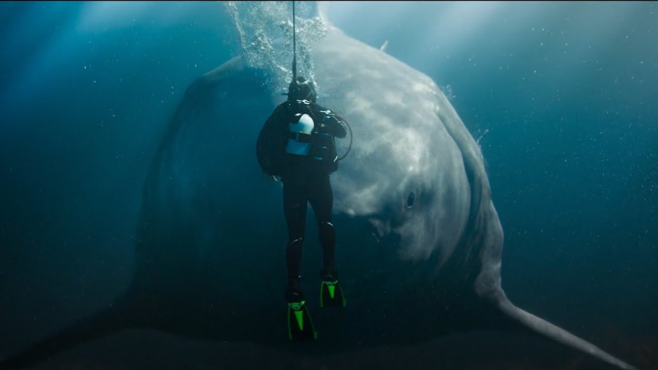 Meg 2 (2023) - Jiuming  swimming with Meg scene HD | Movie Scenes