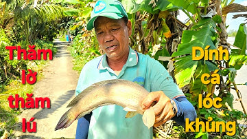 158 | Thăm lờ, thăm lú, thành quả bội thu | fishing 