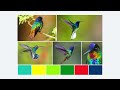 Minal Agarwal Mechanism video #MotorSkillDevelopment #CognitiveDevelopment