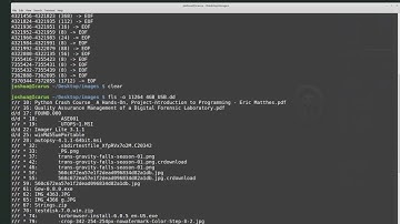 7.4 Data Recovery - The Sleuth Kit | digital forensics for beginners