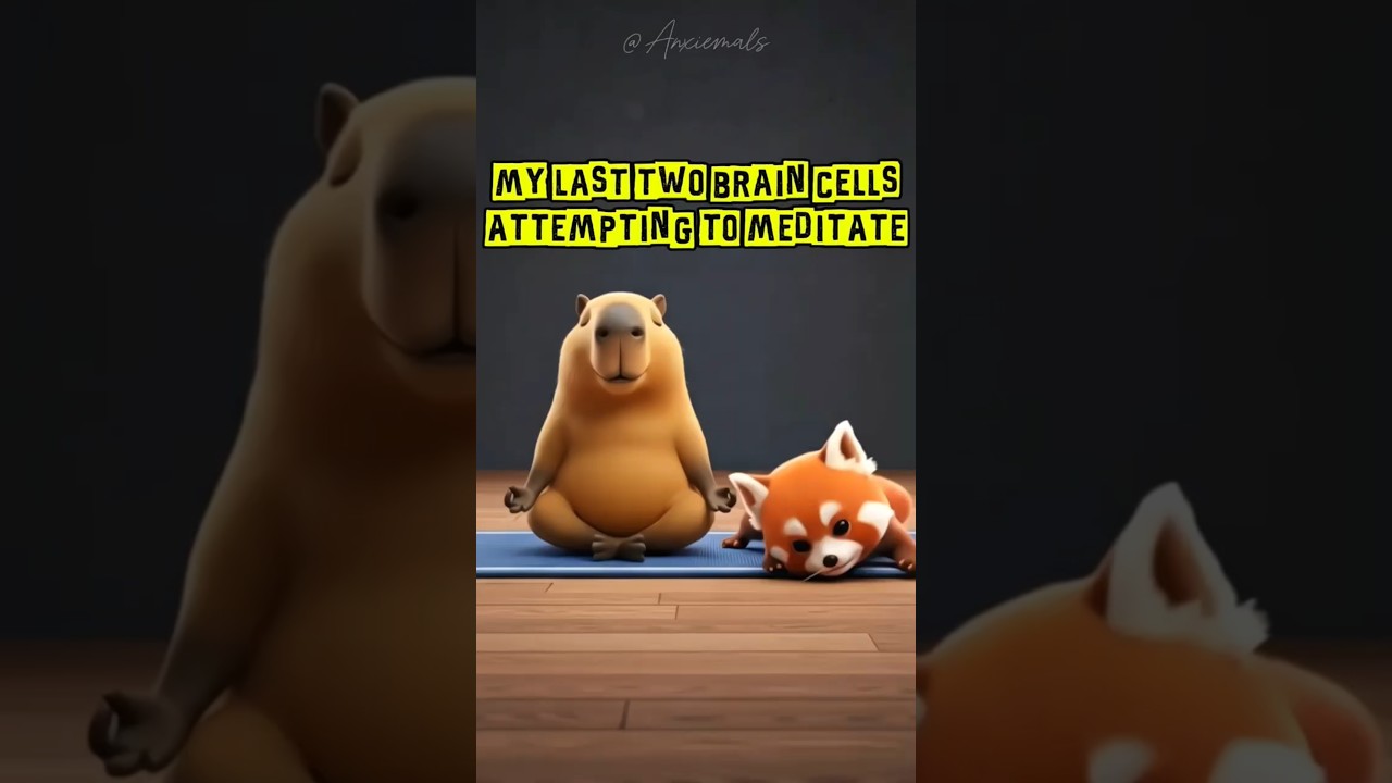 He's trying his best, okay?