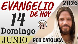 Evangelio de Hoy Domingo 14 de Junio de 2026 | REFLEXIÓN | Red Catolica