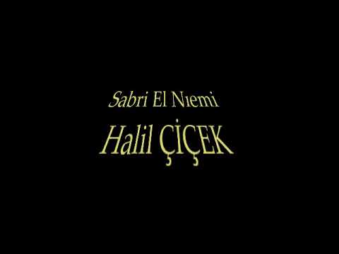 Halil Cicek    2021