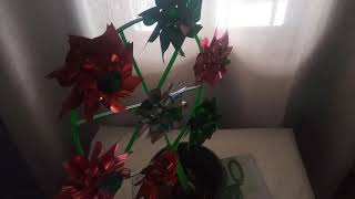 Rehilete A Oya Y Signo 9 Para Recoger Malos Vientos Y Charla Porque No Te Dura El Dinero..y Mas.