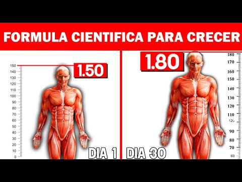 ✅ Como 𝐀𝐔𝐌𝐄𝐍𝐓𝐀𝐑