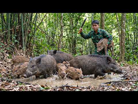 Primitive Survival Alone | Wild Boar Tracks, Forest Bird Discoveries and Fresh Stream Fishing