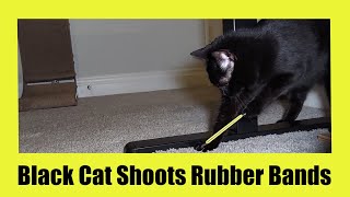 Black Cat Shoots Rubber Bands by Serena the kAt 347 views 1 month ago 1 minute, 44 seconds