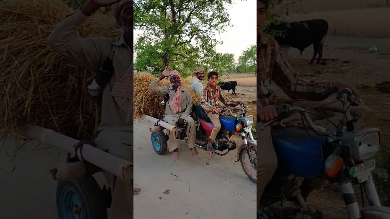 Pakistani Village Life | Rural Area in Pakistan | Pind Da Mahol | Desi Mahol | Beautiful Natura |