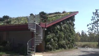 Making It Grow - Moore Farms Botanical Garden's Green Roof