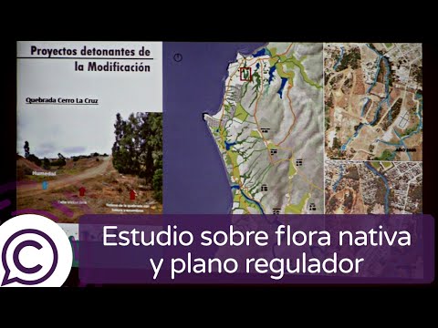 Modifican Plano Regulador de Pichilemu en Quebrada de La Cruz