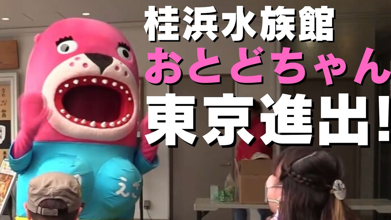 浜ちゃんと土人 桂浜水族館『おとどちゃん』が東京・銀座に登場!エッセイの出版