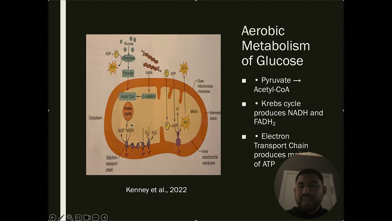 CAP 1: Pathways to ATP