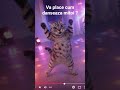 mitoi danseaza