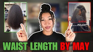 6 Things Ive Done In January To Reach Waist Length Hair