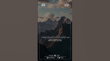 سوزة السجدة | القارئ: ناصر العصفور