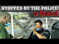 Van Life Mexico {STOPPED BY THE POLICE}