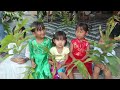 Palm Sunday BCD Pangzawl
