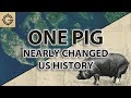 How a Pig Nearly Changed U.S. History (The Pig War)