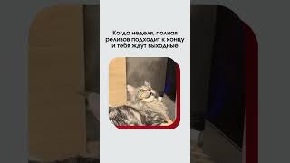 В ближайшие два дня во всех офисах 😎