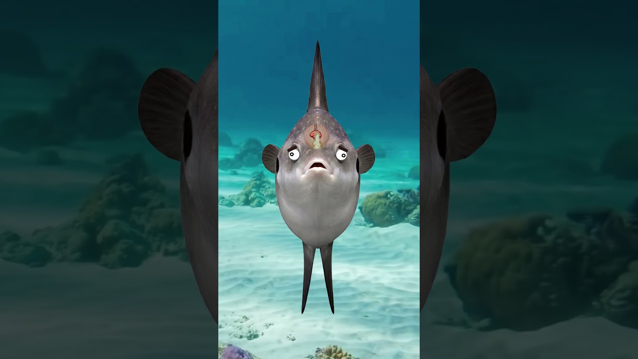 Top 3 DUMBEST Animals on Earth