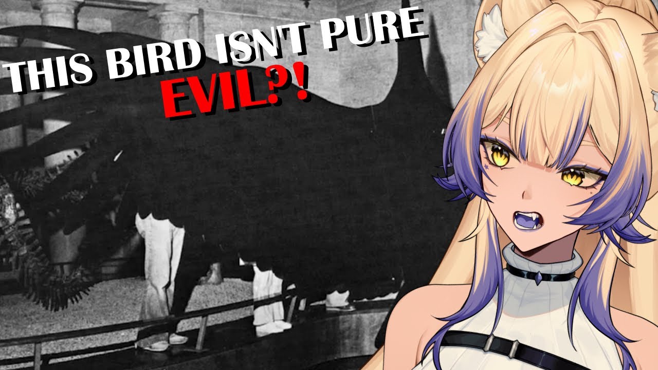 The Bird Of NIGHTMARES | Why We Owe a Vulture on Steroids an Apology | Casual Geographic Reaction