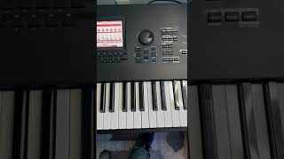 Yamaha Motif Sound Hack #1 screenshot 4