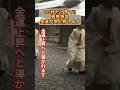 ㊗️50万再生【伊勢神宮】貴重な映像✨神々から特別な許可を得た人だけに表示されています✨#金運 #金運アップ #スピリチュアル #shrine #japan