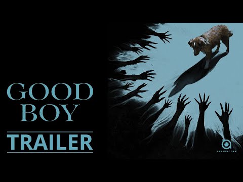 good boy  Good Boy - Bad Unicorn