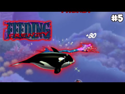 FREEDING FRENZY !!! INILAH PUNCAK RANTAI MAKANAN NO 1 DI LAUTAN INI DAN MENIKAH DENGAN MERMAID !!!!
