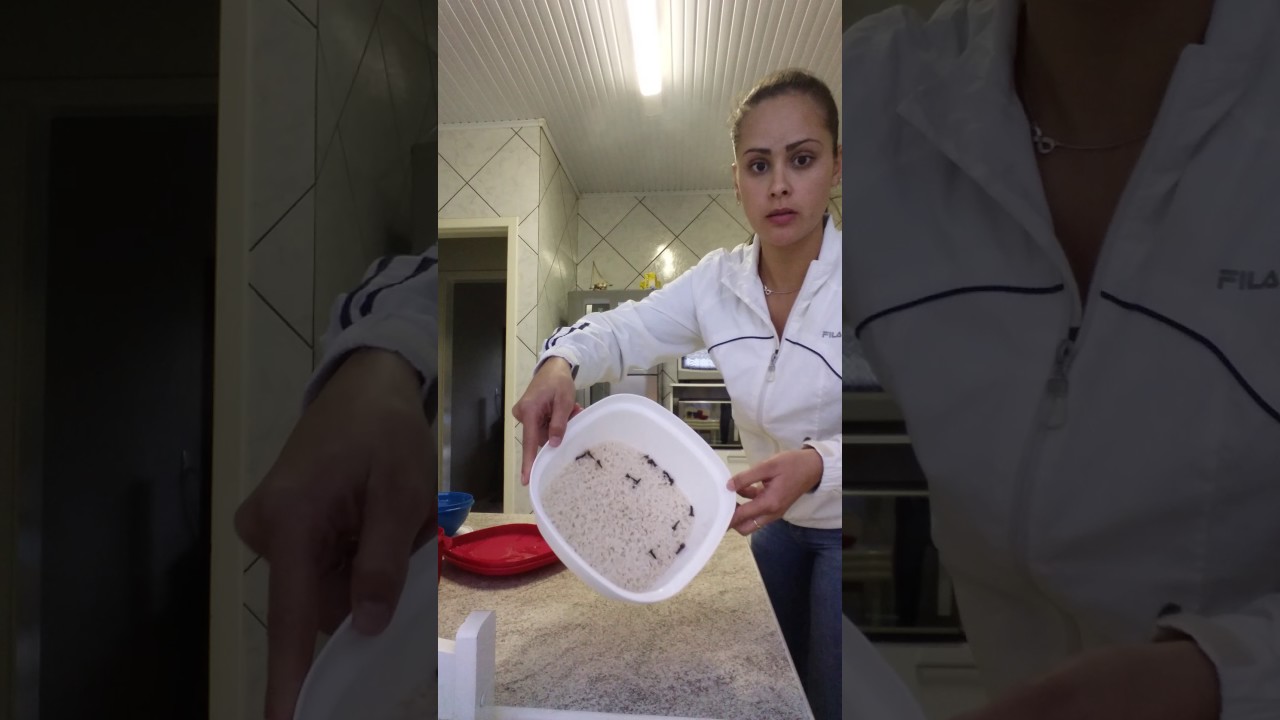 ARROZ DOCE NA MÚLTIPLA TUPPERWARE