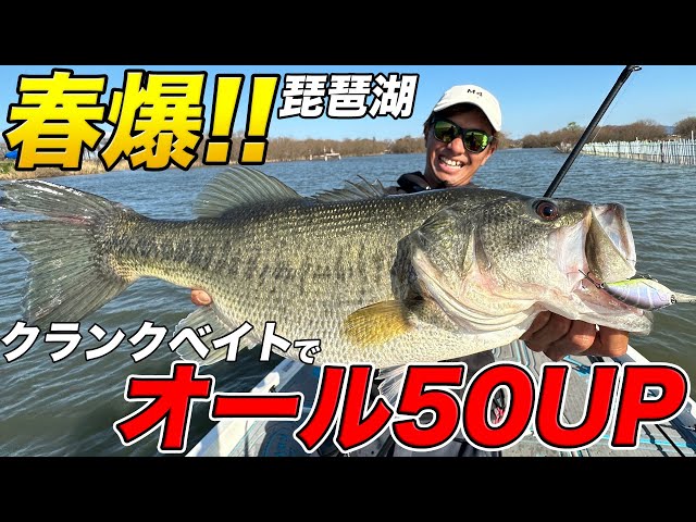 シャロークランキングでオール50アップ！【琵琶湖】 - YouTube