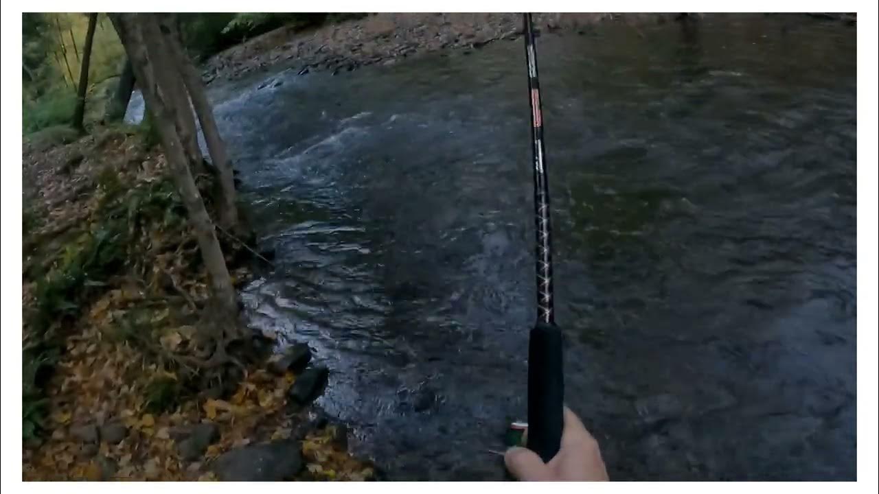 Salmon River, NY fishing 2022 YouTube