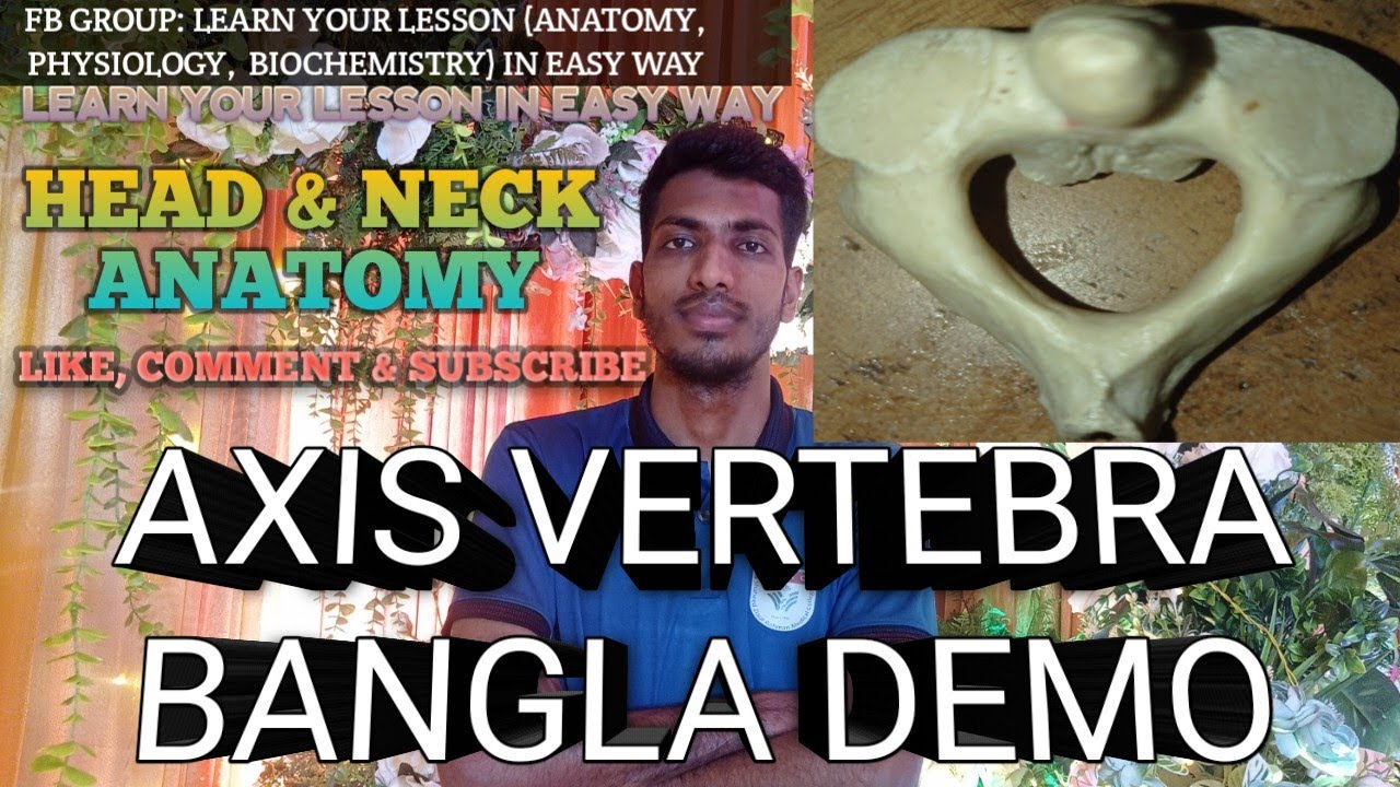 Axis Vertebra Anatomy In Bangla  | Head & Neck |  |Anatomy | 