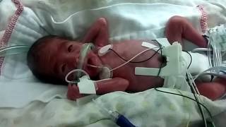 Abigail Esther Hardy