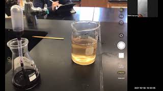 Famous Lollipop lab Manganese ions (Redox) Net Worth