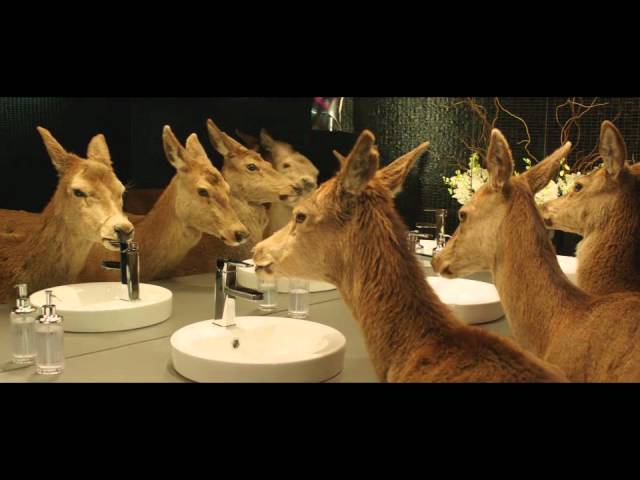 Tooheys Extra Dry "Nocturnal Migration" TVC - AdNews