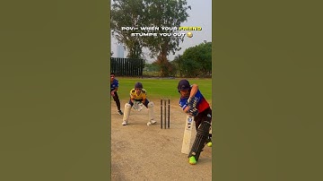 When your FRIEND stumps you out!😂🏏 #shorts #cricketcardio #stumped